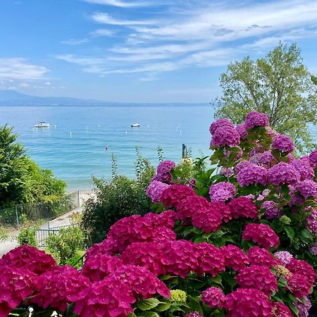 Front Lake Amazing View Manerba del Garda Exterior foto
